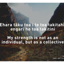 Ehara tāku toa i te toa takitahi, engari he toa takitini. My strength is not as an individual, but as a collective. thumbnail