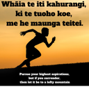 Whāia te iti kahurangi, ki te tuoho koe, me he maunga teitei. Pursue your highest aspirations, but if you surrender, then let it be to a lofty mountain. thumbnail