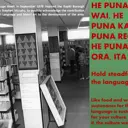 He puna wai, he puna kai, he puna reo, he puna ora, ita ita. Like food and water is sustenance for your culture, without it the culture would die. Hold steadfast to the language. thumbnail