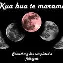 Kua hua te marama. Something has completed a full cycle. thumbnail