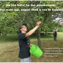 He toa kura, he toa pāhekeheke; he toa mahi kai, engari tēnā e roa te kawenga. A warrior chief has an uncertain future; but one who is expert at food production has influence for a long time. thumbnail