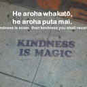 He aroha whakatō, he aroha puta mai. If kindness is sown, then kindness you shall receive. thumbnail