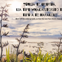 Tūngia te ururua, kia tipu whakaritorito te tipu a te harakeke. Burn off the undergrowth, so the new flax shoots may grow. thumbnail